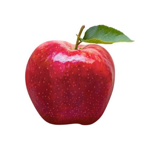 微信大红苹果头像第2张